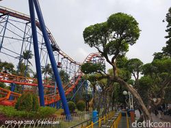 Hasil Jepretan Kamera Oppo A9 2020