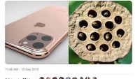 Ada yang tahu ini apa? Ini adalah tangkai bunga lotus yang kelopaknya sudah rontok. Tampak mirip ya dengan bentuk bulatan kamera iPhone terbaru. Foto: istimewa