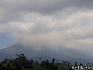 Ini Dampak Langsung Akibat Kebakaran Besar di Gunung Merbabu