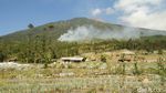 Penampakan Kepulan Asap Kebakaran Gunung Slamet
