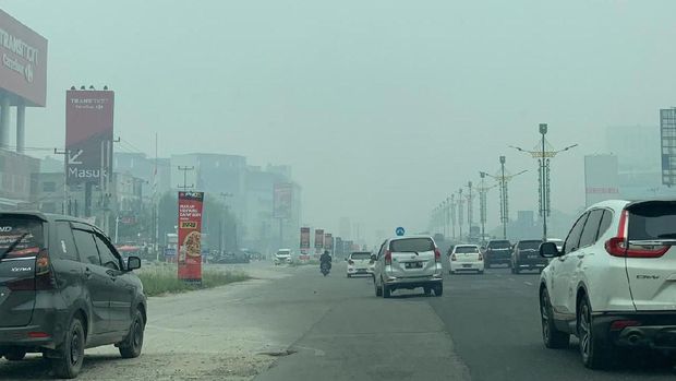 Pak Jokowi, Kualitas Udara Pekan Baru Sudah Berbahaya