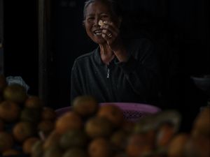pedagang jeruk kintamani