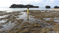 Para pengunjung yang berminat untuk menaiki bukit karang di Pantai Tiang Bendera tersebut disarankan untuk berhati-hati dan menggunakan alas kaki yang kuat agar tak teluka oleh karang yang tajam.