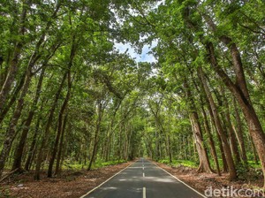 170 Peserta Ramaikan Savana Duathlon di Alas Purwo Banyuwangi
