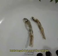 Kocaknya Parodi Chef Juna dan Chef Arnold Saat Jadi Juri Masak
