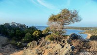 Lokasi destinasi wisata Batu Termanu cukup unik dan menarik. Pasalnya Lanskap savana terlihat sejauh mata memandang. Pepohonan lebat pun berada di beberapa titik bersama semak belukar. Tak ketinggalan, bentangan pantai berkontur landai.