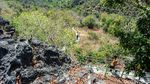 Menjelajah Bukit Mandoo di Pulau Rote