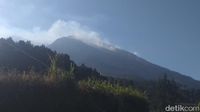 Kebakaran Hutan Lereng Gunung Merbabu Meluas Di 3 Kabupaten