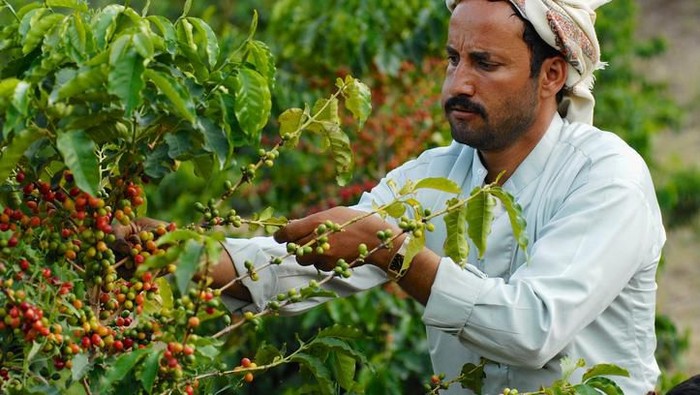 Foto: iStock Foto: iStock