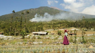 Penampakan Kepulan Asap Kebakaran Gunung Slamet
