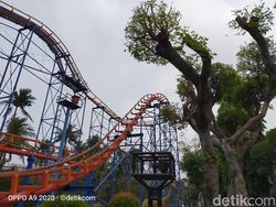 Hasil Jepretan Kamera Oppo A9 2020