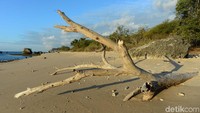 Pantai Termanu memikat para wisatawan yang berkunjung ke Rote dengan pasir putihnya yang menawan. Tak sedikit pula wisatawan yang datang ke pantai itu untuk berselancar.