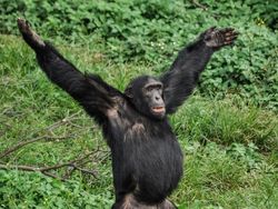 Ini Kumpulan Finalis Kontes Foto Hewan dengan Tingkah Kocak