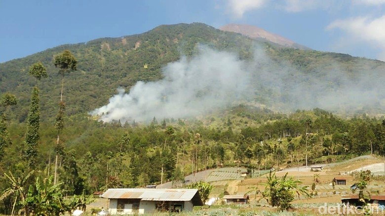 Kebakaran Hutan di Lereng Gunung Slamet Capai 14,3 Hektare Kebakaran Hutan di Lereng Gunung Slamet Capai 14,3 Hektare