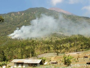 Kebakaran Hutan di Gunung Slamet DInyatakan Padam