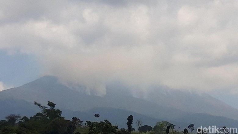 Tinggal Belasan, Satwa Endemik Rek-rekan Terancam Kebakaran di Merbabu Tinggal Belasan, Satwa Endemik Rek-rekan Terancam Kebakaran di Merbabu