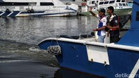 Satu kapal Dishub bisa mengangkut 40 penumpang. 