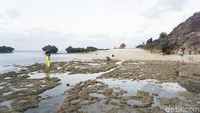 Selamat jatuh hati dengan pantai-pantai eksotis di Rote! (Afif Farhan/detikcom)