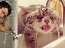 Gaya Kocak Si Kucing Kala Meniru Pose Model Pria