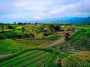 Desa Terindah Sedunia Ada di Sumatera Barat