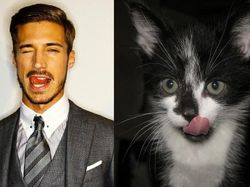 Gaya Kocak Si Kucing Kala Meniru Pose Model Pria