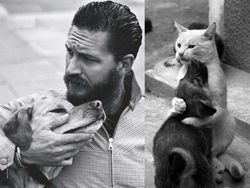 Gaya Kocak Si Kucing Kala Meniru Pose Model Pria