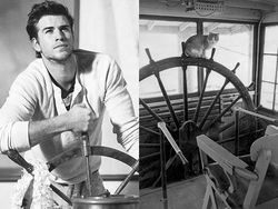 Gaya Kocak Si Kucing Kala Meniru Pose Model Pria