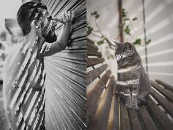 Gaya Kocak Si Kucing Kala Meniru Pose Model Pria