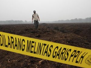 Lahan Perusahaan Asal Malaysia Disegel KLHK