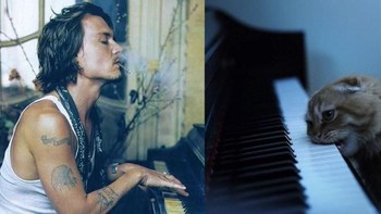 Main piano, kalau versi kucing pakai gigi. (Foto: sadanduseless)