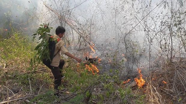 Diduga Akibat Puntung Rokok, Lahan Perkebunan di Polman Habis Terbakar