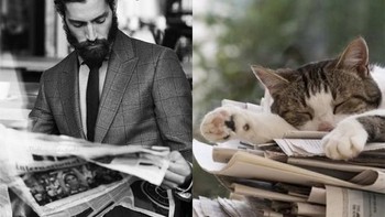 Baca koran, si kucing malah tidur. (Foto: sadanduseless)