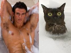 Gaya Kocak Si Kucing Kala Meniru Pose Model Pria