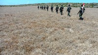 Mereka menyusuri padang rumput yang mengering di Pulau Ndana, Rote, Nusa Tenggara Timur. Eksotis sekali yaa.