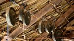 Menengok Rumah Adat Rote yang Bersahaja