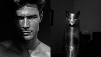 Foto hitam putih, keren si kucing kayanya ya. Setuju? (Foto: sadanduseless)