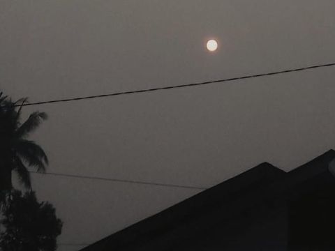 Sempat Turun Hujan, Kabut Asap di Duri Riau Menipis