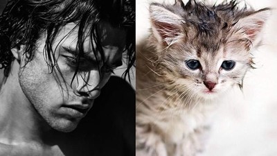 Gaya Kocak Si Kucing Kala Meniru Pose Model Pria