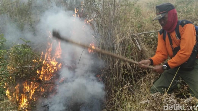 Masih Terdeteksi 2 Titik Api di Kebakaran Hutan Gunung Merbabu Masih Terdeteksi 2 Titik Api di Kebakaran Hutan Gunung Merbabu