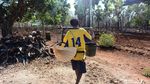 Menderes Manisnya Nira Pohon Lontar