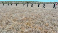 Di hamparan rumput kering tersebut, angin kencang dan terik matahari serta aroma tropis menjadi atmosfir khas yang membuat pulau ini sangat patut dipertahankan. 