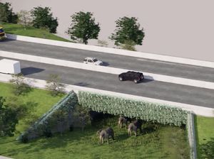 Dua Ruas Tol Trans Sumatera Ini Punya Underpass untuk Gajah