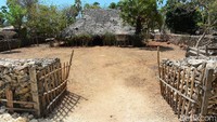 Ini dia rumah adat Rote.