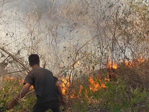 Diduga Akibat Puntung Rokok, Lahan Perkebunan di Polman Habis Terbakar