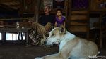 Menengok Rumah Adat Rote yang Bersahaja