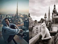 Gaya Kocak Si Kucing Kala Meniru Pose Model Pria