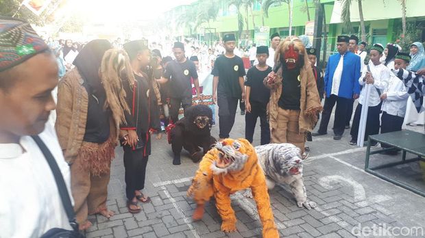 2 Macan beraksi di pencak macan