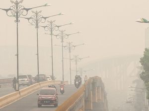 Viral Video Kabut Asap di Kalteng, Netizen Mengeluh Pusing dan Sesak