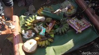 Makanan, ayam dan uang tersebut disimpan di atas wadah berbahan batang pisang. Makanan yang dihanyutkan menjadi rebutan warga lainnya yang telah menuggu di arah hilir sungai, sekitar 200 meter dari lokasi tradisi melluas digelar (Abdy/detikcom)