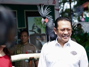 Puji Banyak Anak Muda di Kabinet Jokowi, Bamsoet Singgung Perubahan Zaman